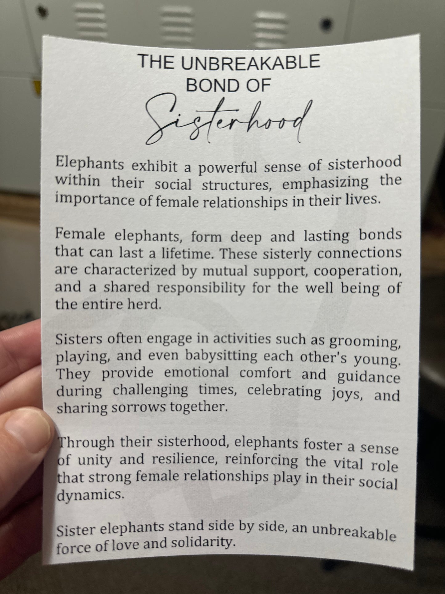 Unbreakable Bond of Sisterhood Ornament